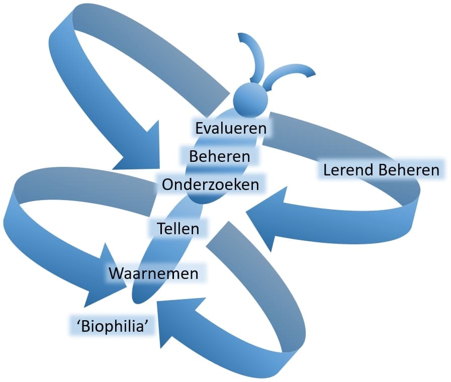 Michiel Wallis de Vries